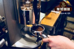 Espresso training materials and knowledge points to make perfect espresso six gold elements