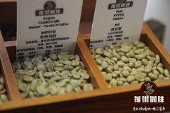 Flavor performance of Chinese-made coffee beans Yunnan coffee Katim tin card small-grain coffee beans