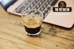 How to make Vietnamese iced coffee _ which brand tastes good _ Origin Story of Vietnamese Coffee