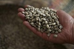 The price of coffee and raw beans fell sharply in 2018, reaching a new low of 10 years.