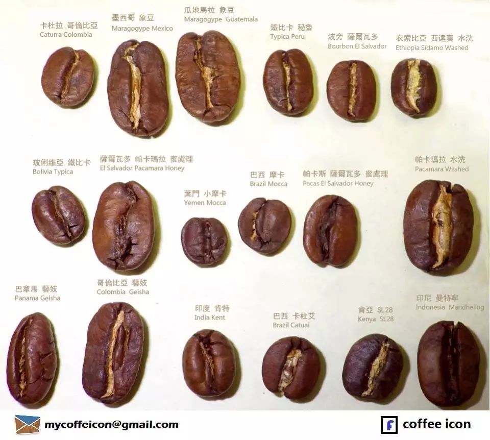 Introduction and flavor characteristics of ancient coffee varieties, native species and mutants