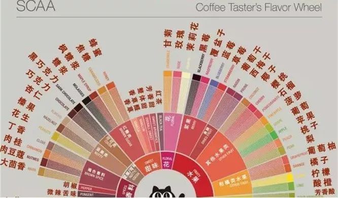 Coffee tasting | can you tell the charming fragrance of flowers in the coffee?