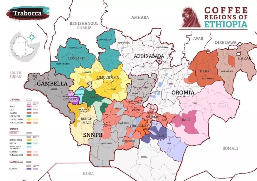 What is the Red Cherry Project? The most accurate coffee map of Ethiopia!