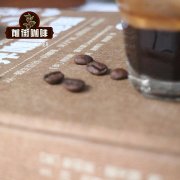 What is coffee fat? what kind of Italian coffee beans are rich in oil and fat? how much is a pack of coffee beans?