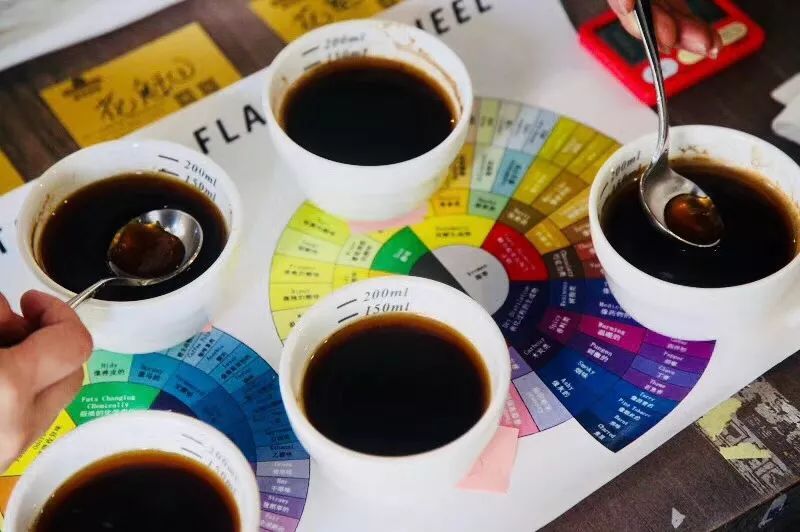 What is a cup test? How to carry out cup test and score? -detailed scoring criteria for SCAA Cup test items