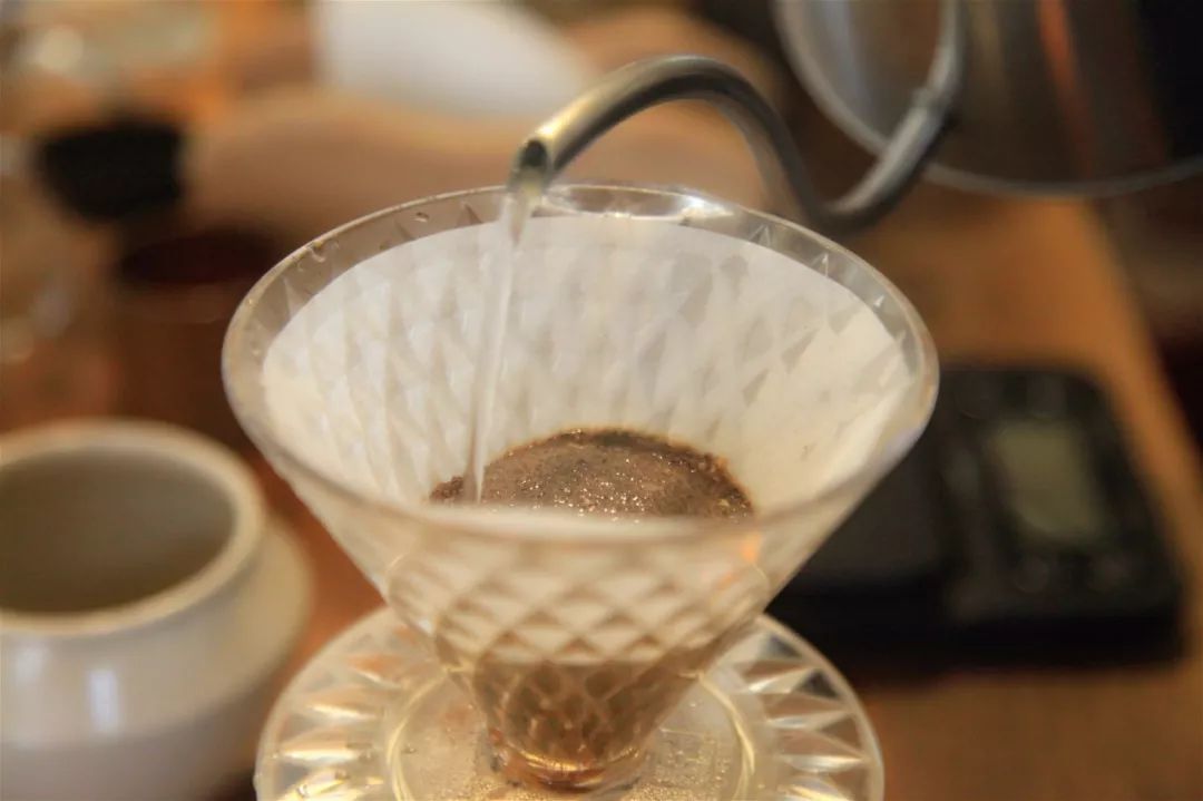 brewing experiment| Comparison of V60 and diamond filter cups