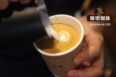 What are the characteristics of fancy coffee? How to make fancy coffee? What is fancy coffee?