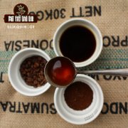 Columbia Linglong Coffee Bean Flavor _ St. Francis San Francisco Coffee Manor Information