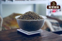 The difference between Hainan Fushan Coffee and Xinglong Coffee _ which coffee in Hainan is good? how much is Fushan coffee