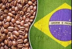 Brazilian Coffee | Brazilian Coffee History | Brazilian Coffee producing area | Brazilian Coffee Variety