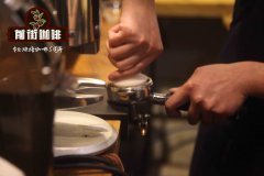 What coffee bean fat is good for Italian coffee machine? recommendation for coffee bean grinding scale of Italian coffee machine