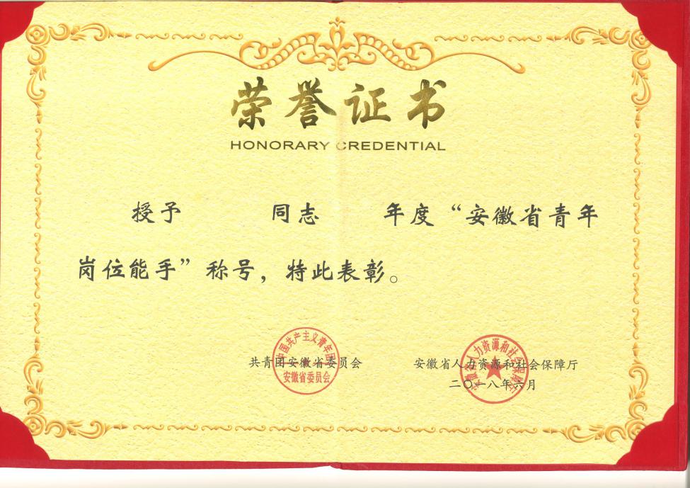 说明: 青年岗位能手称号证书