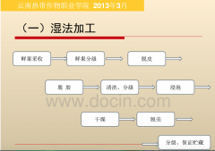 Standardized production technology of Yunnan small-grain coffee, fresh fruit picking and initial processing and washing steps