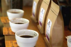 Coffee tasting | how important is smell to coffee tasting?