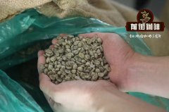 The Story of Starbucks Fengwu Xiangyun Coffee the characteristics of Yunnan coffee beans Yunnan small grain coffee flavor