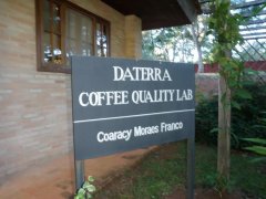 2018 WBrC champion Emi competition beans Brazil Datra Manor Daterra Farm sharp body bourbon introduction