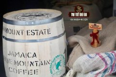 What is Blue Mountain Coffee? What do you have in Jamaica Blue Mountain Coffee? What is CIB?