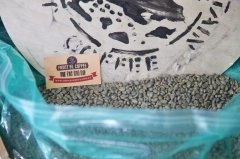How to make Golden Blue Jamaican blue mountain coffee beans by hand at home? Authentic Blue Mountain Identification course