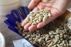 Activity of coffee raw bean water | how to protect coffee from excessive water activity