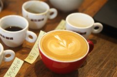 Four brewing methods of Mexican coffee: cake cup, love pressure, concentration, latte flavor?
