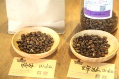 Taste exploration | what are the differences in the flavor of washed Yegawaka in different baking methods?
