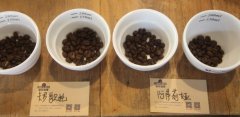 Characteristics of deep-roasted coffee beans in Kenya in Africa what is good to roast Kenyan coffee