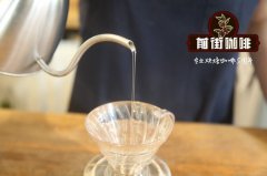 Coffee fragrance at the root of the walls of the Forbidden City Coffee in the Corner of the Forbidden City opens today