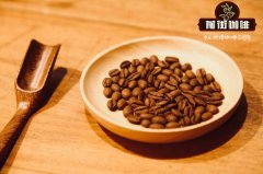 Description of Mexican coffee bean flavor introduction of Mexican coffee bean varieties