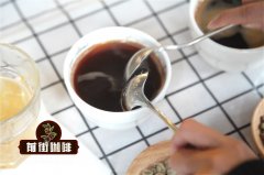 Flavor characteristics of Arabica Coffee how to make Arabica Coffee
