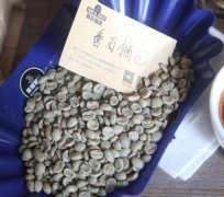 Roasting and Flavor of SL28 Coffee beans in Guatemala | Guayabo / Guava Plain Manor