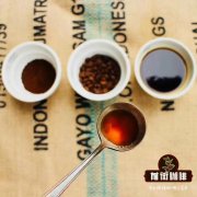 Understand the characteristics of Blue Mountain Coffee and see how to mix it