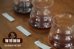 What flavor does coffee bring at different stages of extraction? Flavor Analysis of Coffee