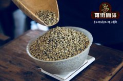 What are the characteristics of Yunnan coffee Yunnan coffee bean flavor introduction to Yunnan coffee distribution