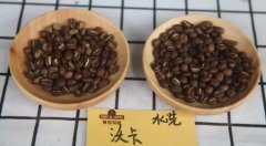 The relationship between Java Coffee and java. How is Java Coffee? is it good?