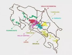 What are the flavor characteristics of coffee from the Kaddura Pillon processing plant in Costa Rica?