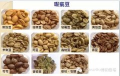 Teach you to distinguish between coffee beans, raw beans and cooked beans.