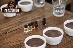 Coffee Xiaobai starts from the practice of smelling the fragrance bottle, smelling incense is an important part of cup testing. Aroma judgment of coffee.
