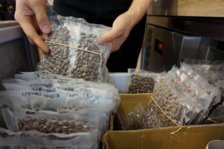 Coffee beans are so slender: does it taste better when frozen, or does it change when frozen?