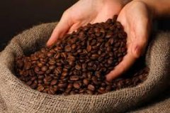 A complete set of knowledge about learning to make coffee varieties and flavor roasting