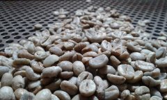 COB: a complex evolutionary history of the official grading system for raw coffee beans in Brazil