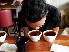 Philippine Coffee: seeking Development in the double barriers of abnormal Climate and cheap imported Coffee