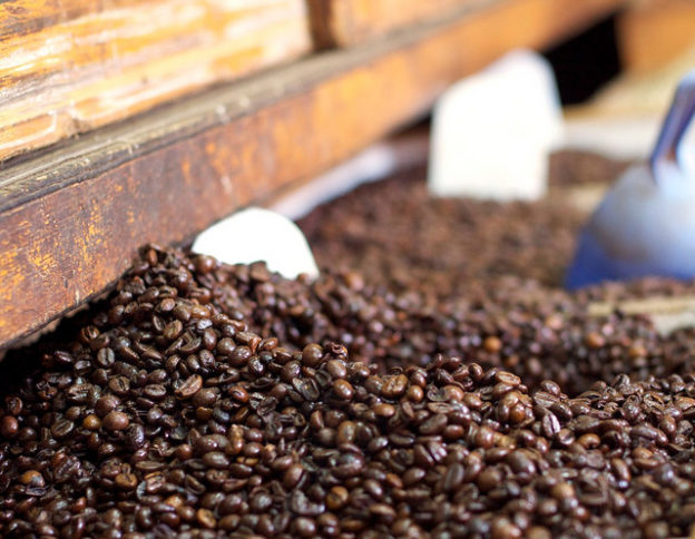 The demand for low-cost coffee is high, and the export volume of Robbins Tara beans from Vietnam will increase greatly.