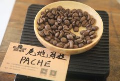 Introduction of Patch PACHE Coffee Flavor in Guatemala New Oriental Blueberry Manor