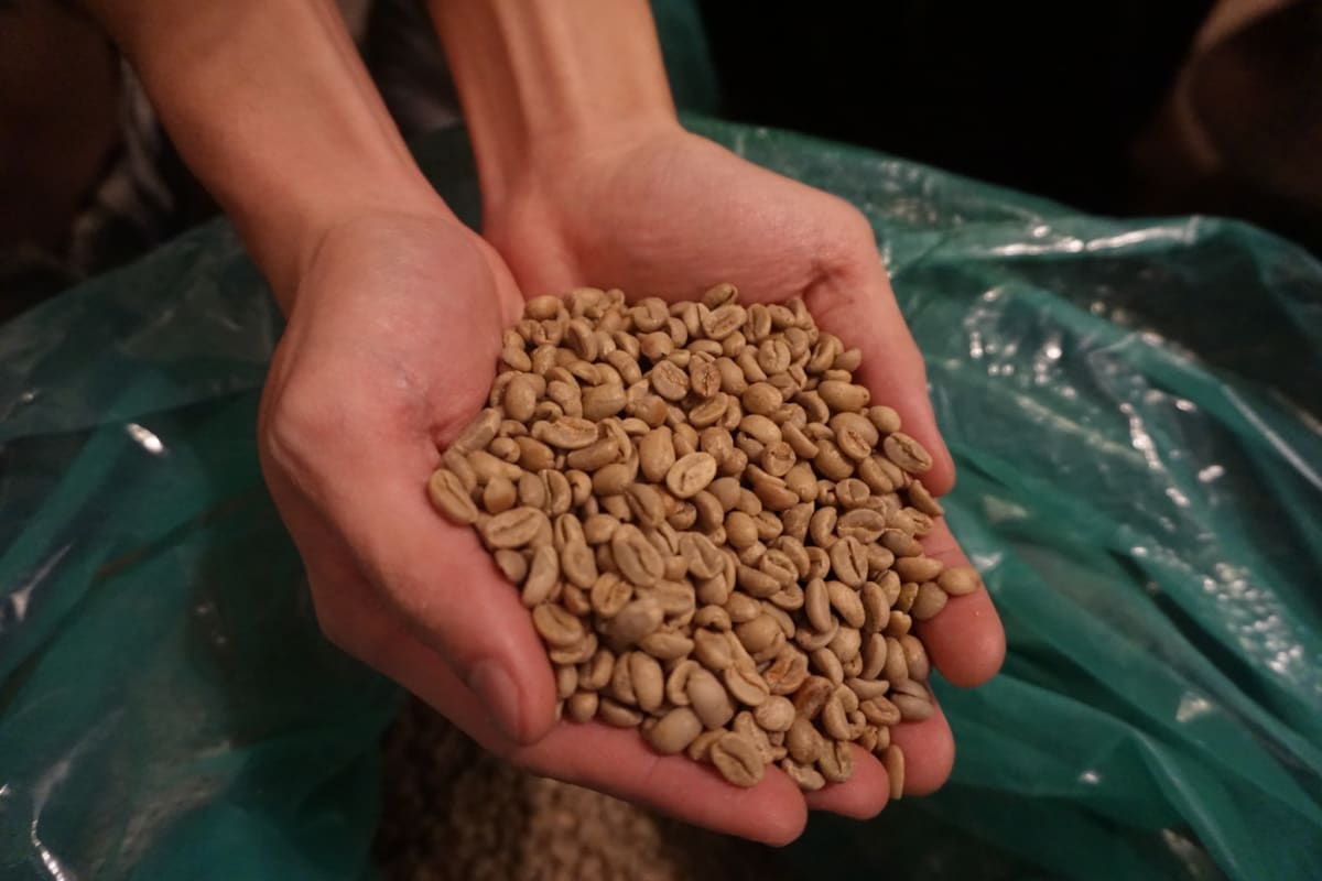 [coffee roasting] what are the chemical changes in coffee beans during roasting?