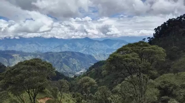 The importance of coffee planting altitude: does height really determine the quality of coffee beans?