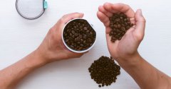 The freshness of coffee beans is a false proposition! How to judge the freshness of coffee beans?