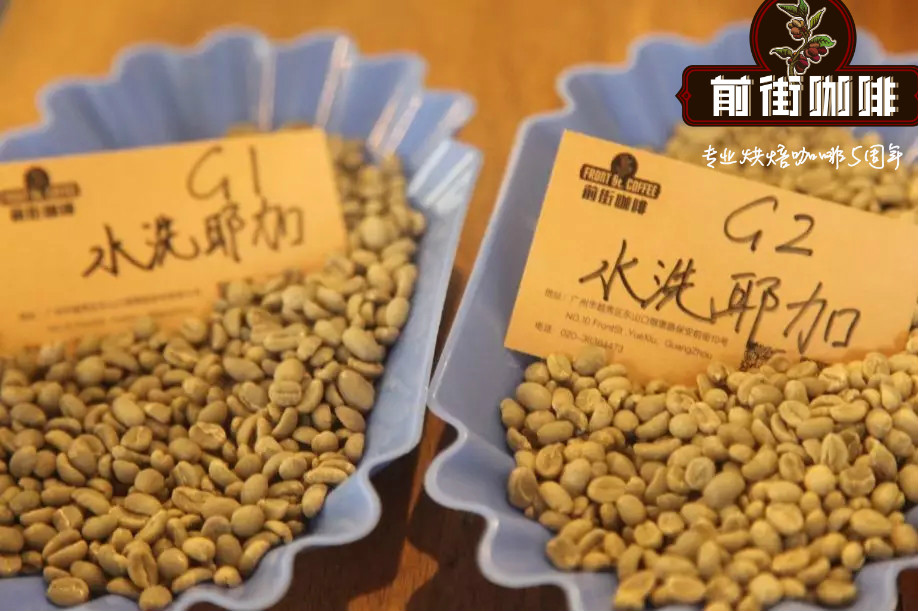 A brief introduction to the flavor description of Yejia Coffee Cochel G2 coffee and G1 coffee