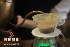 Ethiopian Hambera Coffee 5.0 Sidama Coffee Flavor Taste Characteristics Introduction