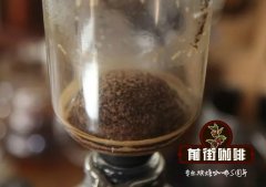 Bolivian Saint Angel Manor Coffee introduces the suitable roasting degree of Bolivian coffee.