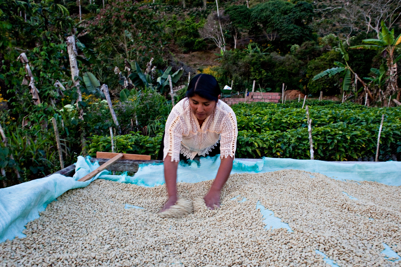 Delicious Paradise through Death Highway_Stories of Bolivia's Coffee Regions